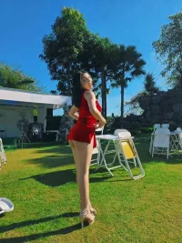 屏東定點茶,外送茶-雅典娜