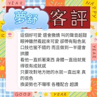 台中定點茶-夢舒