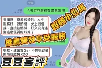 台中定點茶-豆豆