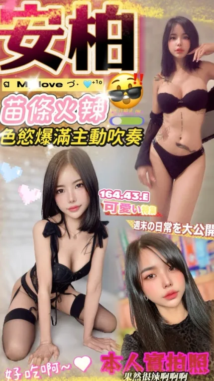 南投定點茶-安柏