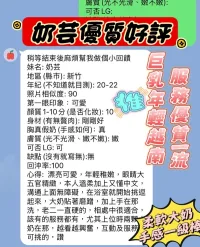 新竹定點茶-奶芸