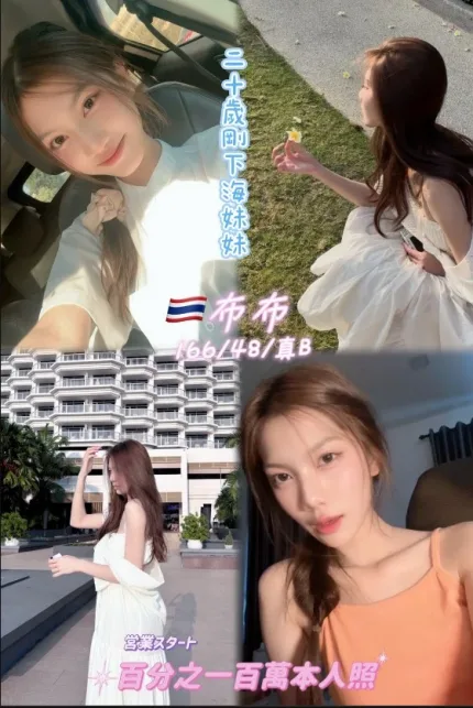 桃園定點茶-布布