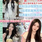 台北定點茶-桃鮮子