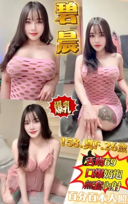 新北定點茶-碧晨