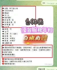 新竹定點茶-白桃花　