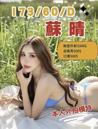 苗栗定點茶-蘇晴