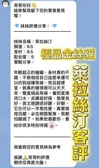 桃園定點茶-萊拉絲汀