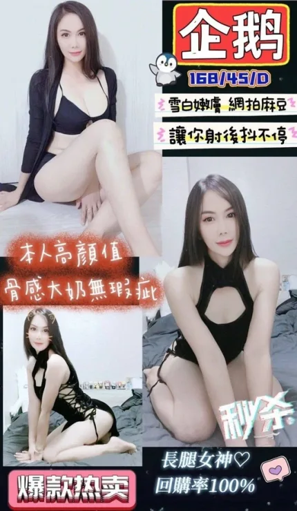 南投定點茶-企鵝