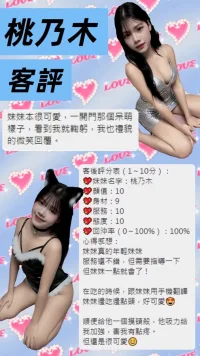 桃園定點茶-桃乃木
