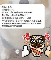 南投定點茶-卓源