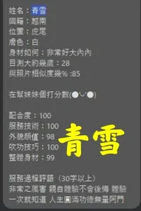 雲林定點茶-青雪