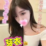新北定點茶-芽衣