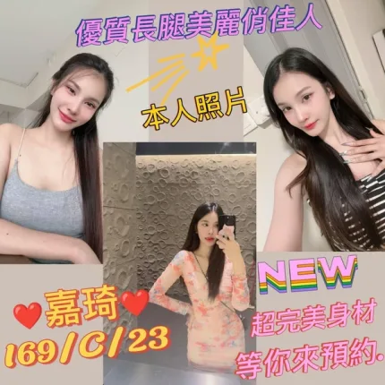 新北定點茶-嘉琦
