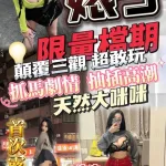 台中定點茶-婊子