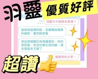 台中定點茶-羽靈