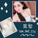 台北外送茶-莫黎