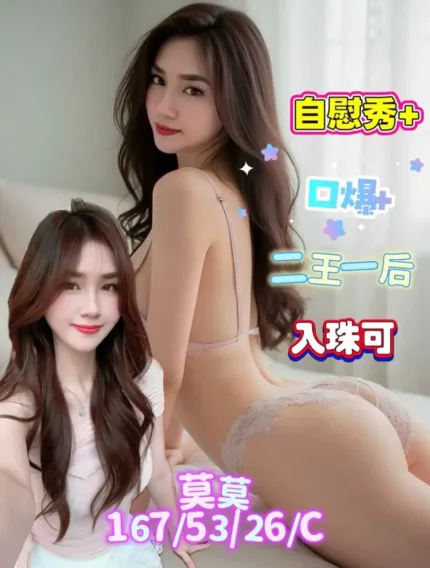 台南定點茶-莫莫