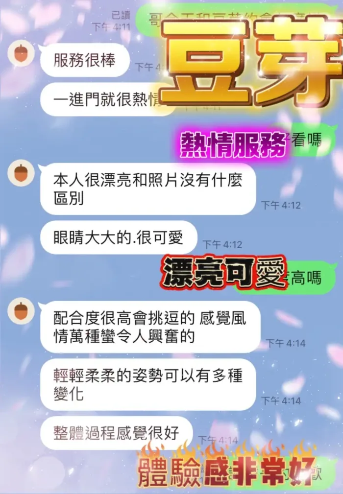 南投定點茶-豆芽