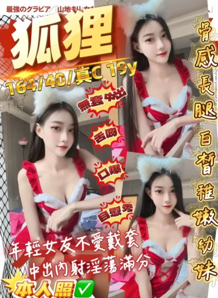 桃園定點茶-狐狸