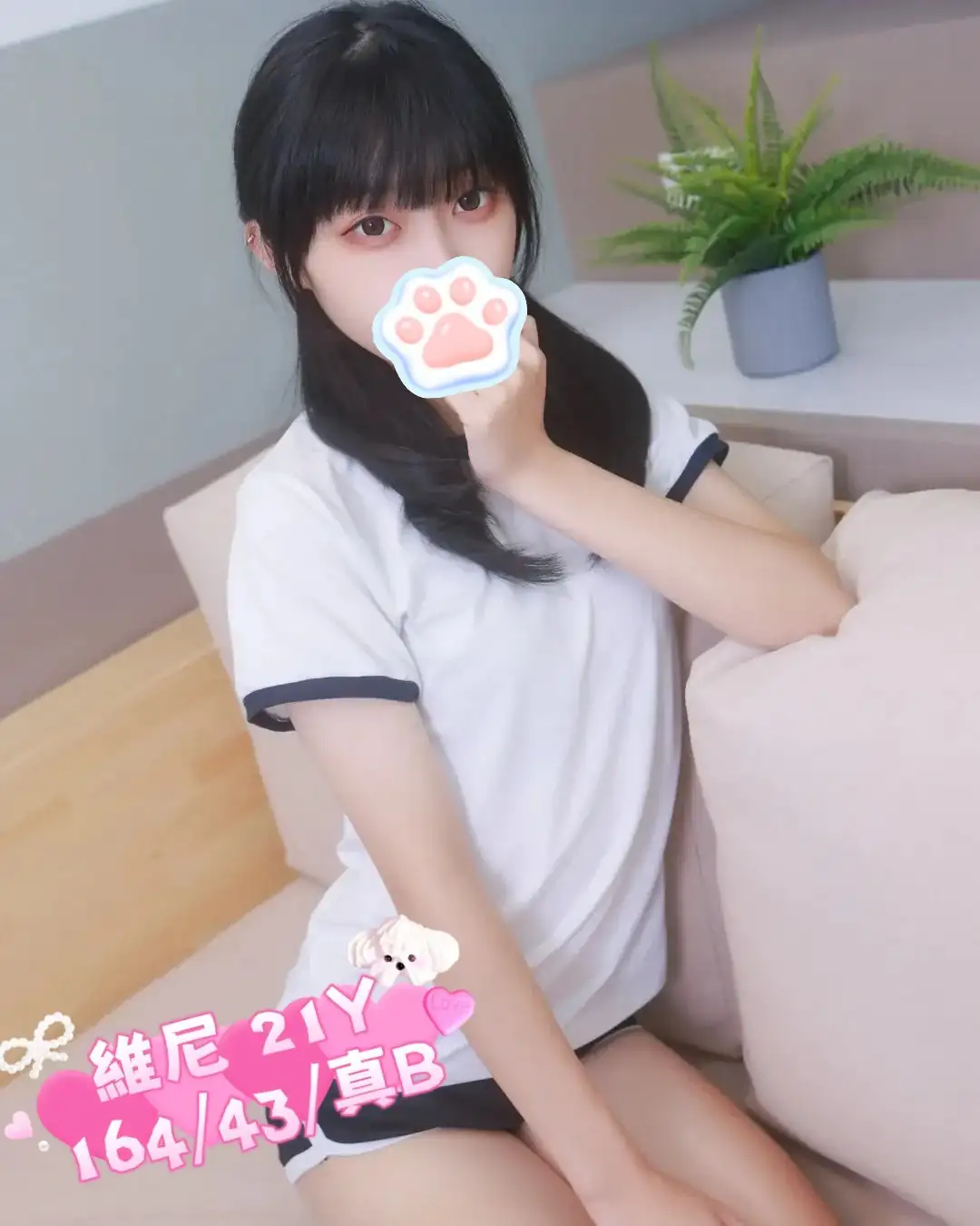 台北定點茶-維尼 台北定點茶-維尼